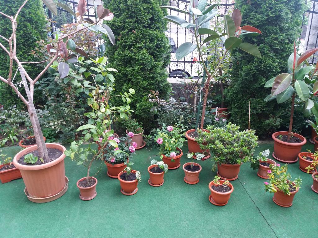 Casa Ariana 호텔 쿠티에데아게스 외부 사진